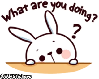 👀 What are you doing? Hase, Kaninchen, süß, Frage, Cartoon, Tier telegram sticker