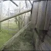 🐵