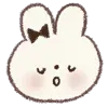 🐰