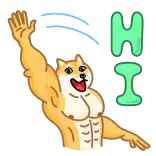 Doge telegram stickers