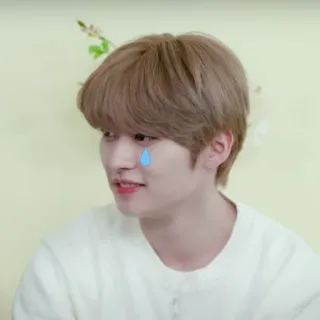 🥲 kpop, 偶像, 眼泪, 悲伤, 人物, 肖像 whatsapp sticker