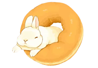 🐰 coelho, donut, coelhinho, animal, fofo, doce telegram sticker