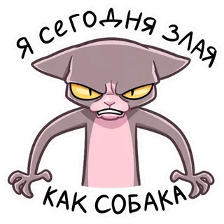😡 Я сегодня злая
как собака kot, zły, zły, zwierzę, mem whatsapp sticker