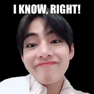 😁 I KNOW, RIGHT! 밈, 웃긴, 반응, 표정, 긍정, 공감 telegram sticker