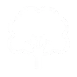 🌳