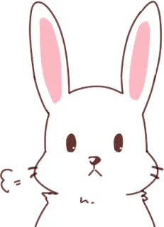 😤 conejo, conejito, animal, lindo, dibujos animados whatsapp sticker