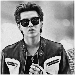 ➰ ผู้ชาย, แว่นกันแดด, เสื้อหนัง, ภาพเหมือน, ขาวดำ, คริส วู, คนดัง, นักร้อง telegram sticker