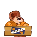 👋 ORANGES orange, fruit, crate, cute, cartoon, box, fresh telegram sticker