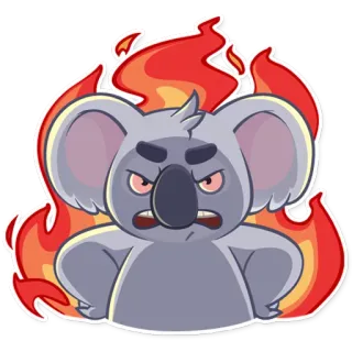 😡 en colère, koala, dessin animé, feu, fou, animal, autocollant telegram sticker
