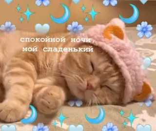 😴 спокойной ночи, мой сладенький 猫, 睡眠, 可愛い, 月, 星, 子猫, 夜 telegram sticker