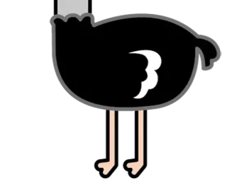 ⚪️ avestruz, animal, pájaro, lindo, gracioso whatsapp sticker