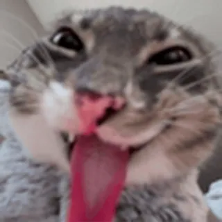 👅