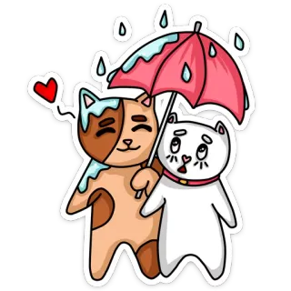 ☔ кот, зонт, любовь, дождь, сердце, милый, животные whatsapp sticker
