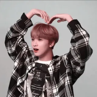 🌻 AM THE MOIST. kpop, アイドル, アジア, セレブ, ハート, 指ハート telegram sticker