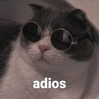 👋 adios cat, sunglasses, adios, farewell, animal, pet, cool cat telegram sticker