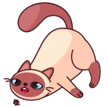 🤢 gato, animal, desenho animado, animal de estimação, fofo, brincalhão whatsapp sticker