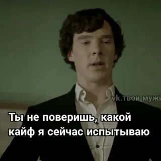 😌 Ты не поверишь, какой кайф я сейчас испытываю russisch, Zitat, Text, Phrase, Meme telegram sticker