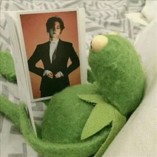 🐸 Kermit Kermit, sapo, meme, Muppet, fantoche, lendo, livro whatsapp sticker