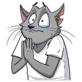 🙏 cat, cartoon, sad, emotional, pleading, gray, anthropomorphic whatsapp sticker