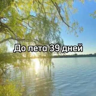 ☀️ До лета 39 дней verano, días, cuenta atrás, lago, naturaleza, árboles telegram sticker