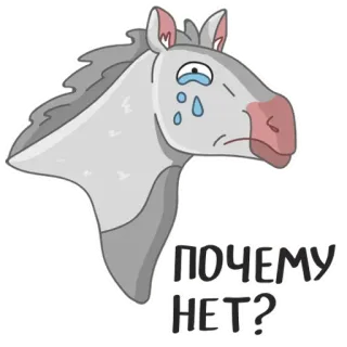 🙃 ПОЧЕМУ НЕТ? horse, crying, sad, cartoon, sticker telegram sticker