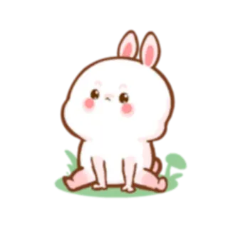 😊 królik, słodki, zwierzę, naklejka, kreskówka whatsapp sticker