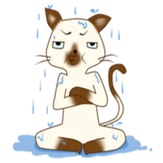 🌧 gatto, sudato, nervoso, preoccupato, cartone animato, animale whatsapp sticker