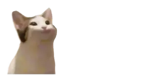 🙂 Pop Cat, Meme, Gatto, Animale telegram sticker