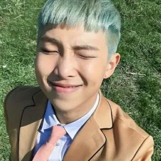 ⭐️ RM RM, BTS, kpop, singer, musician, portrait telegram sticker