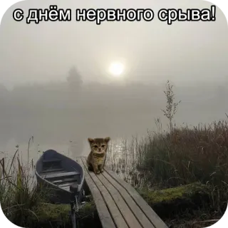 🥳 с днём нервного срыва! 猫, 子猫, ボート, 湖, 霧, 雰囲気, 挨拶 telegram sticker
