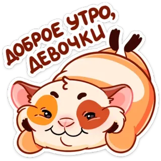 😊 ДОБРОЕ УТРО, ДЕВОЧКИ อรุณสวัสดิ์, น่ารัก, แมว, รัสเซีย, ทักทาย, เช้า, การ์ตูน, สัตว์ telegram sticker