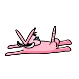 🤩 telegram sticker