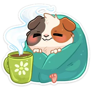 ☕ cobaya, manta, café, lindo, animal, mascota, kawaii, acogedor telegram sticker