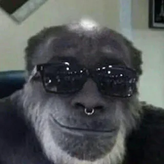 😎 Gorilla telegram sticker
