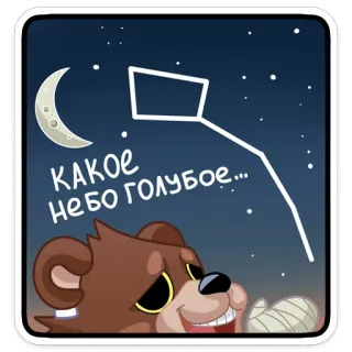 Медвежутка :: @stickroom telegram stickers