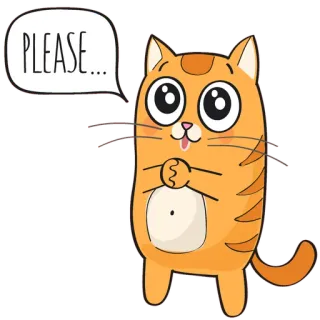 🐱 PLEASE.... chat, s'il vous plaît, mignon, animal, suppliant whatsapp sticker