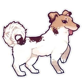 random stickers (@kotypic) telegram stickers