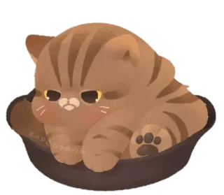 🐾 kapebeans 猫, 可愛い, 子猫, ペット, かわいい, 動物 telegram sticker