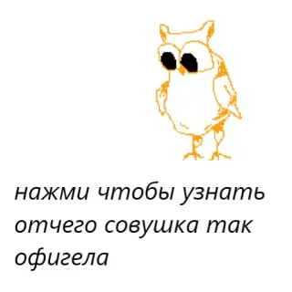 👀 нажми чтобы узнать отчего совушка так офигела eule, aufkleber, russische sprache, vogel, cartoon telegram sticker