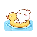🦆 @coccora เป็ด, ห่วงยาง, สระว่ายน้ำ, น่ารัก, หมี, Coccora, สัตว์ whatsapp sticker