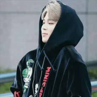 ✨ Jimin kpop, jimin, bts, idol, hoodie telegram sticker