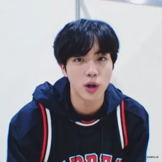 🐹 Jin Jin, BTS, K-Pop, Thần tượng, Ca sĩ telegram sticker