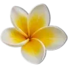 🥥