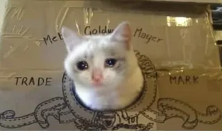 😢 Metro Goldwyn Mayer
TRADE MARK kucing, sedih, Meme, MGM, logo, menangis telegram sticker