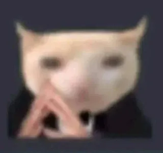 🤔 chat, suffisant, complot, pense, mème, animal telegram sticker