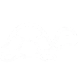 🐢