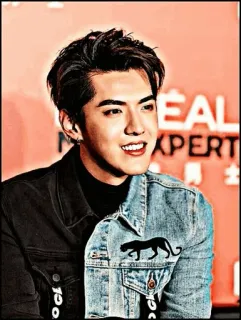 ➖ L'OREAL
PERT uomo, persona, celebrità, Kris Wu, giacca di jeans telegram sticker