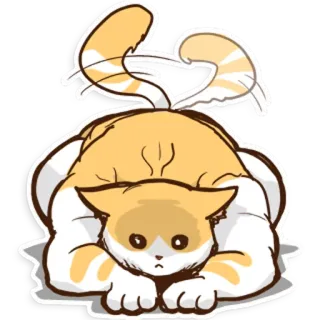 😁 gatto, animale, carino, divertente, cartone animato, animale domestico whatsapp sticker