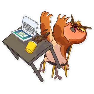 😡 burung, burung hantu, meja, komputer, kopi, berantakan, kartun telegram sticker