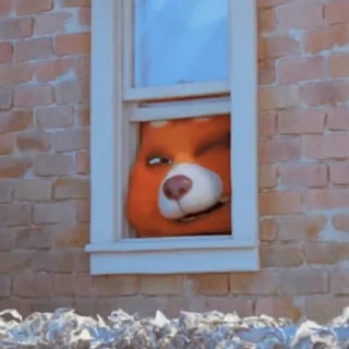 😵‍💫 красная панда, окно, милый, животное, смотрит, наблюдает telegram sticker
